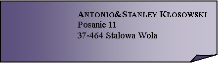Zagity naronik:  Antonio&Stanley KosowskiPosanie 1137-464 Stalowa Wola 