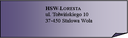 Zagity naronik:  HSW-Lorestaul. Towiskiego 1037-450 Stalowa Wola 